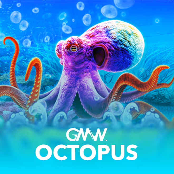 octopus