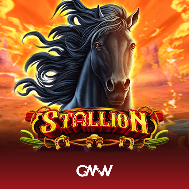 stallion