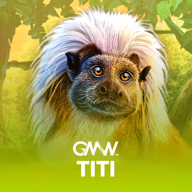 titi