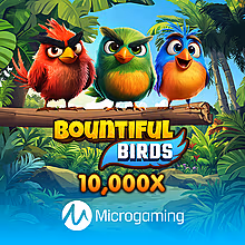 bountiful-birds